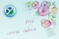 החלמה מהירה 2.jpg