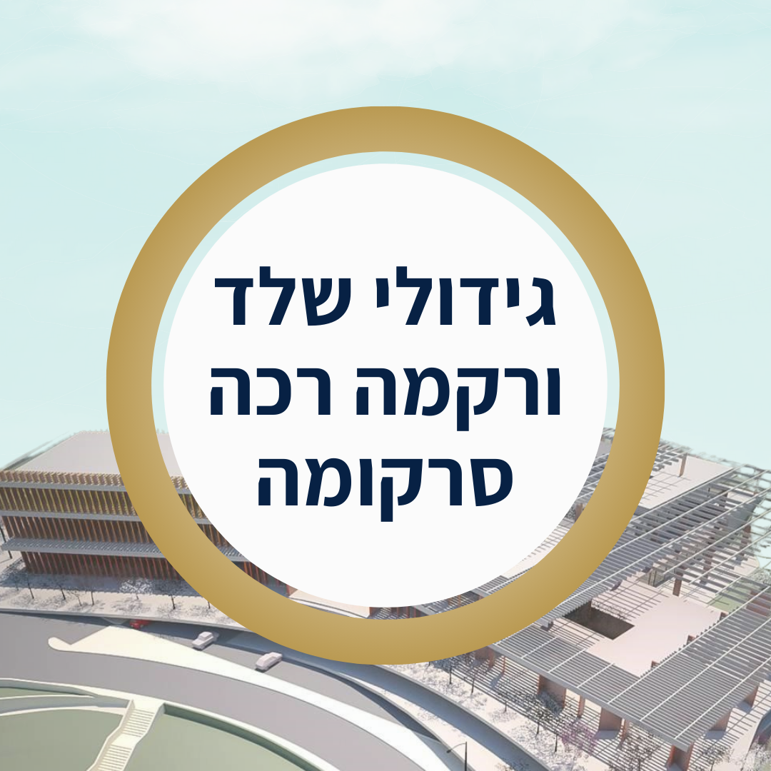 סרקומההמטולוגיה.png