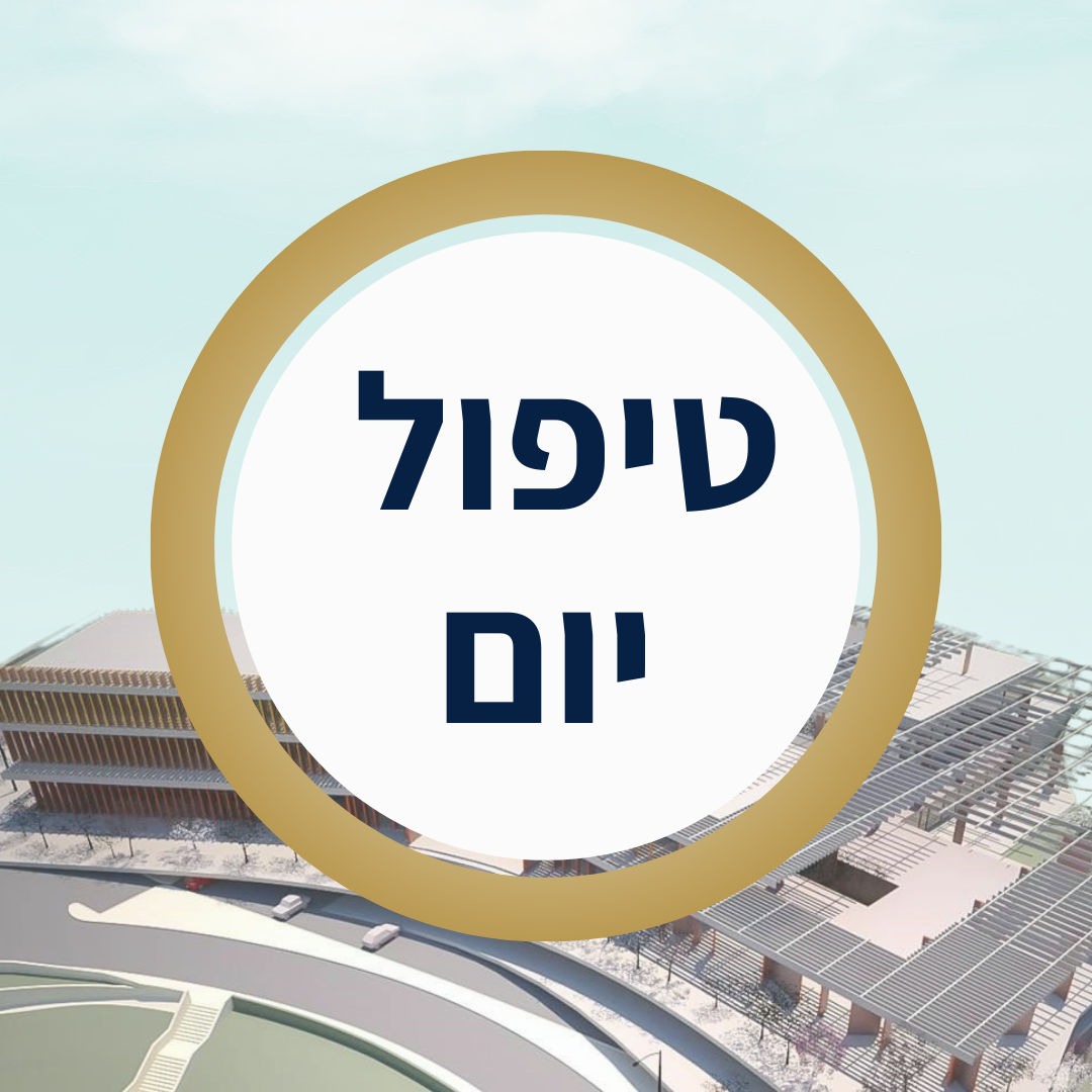 שולמית טיפול יום.png