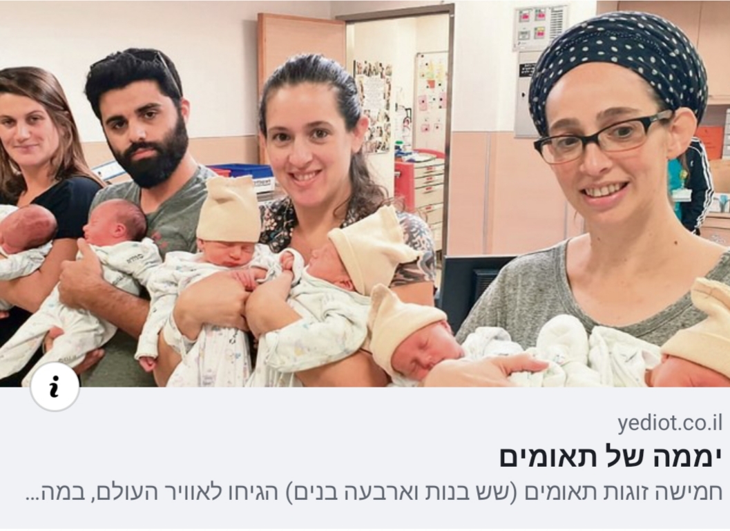 יממה של תאומים.jpg